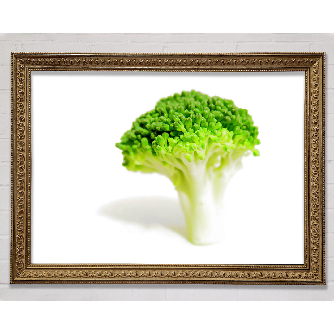 Brocolli Stängel - Druck