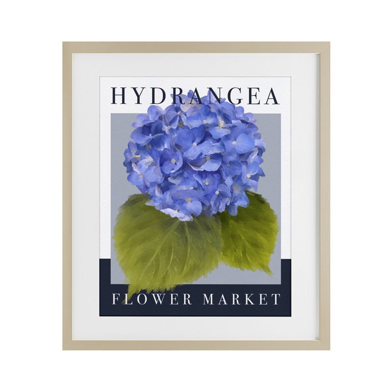 Hydrangea Flower Market, reproduction encadrée sous verre, design par Jennifer Stith, H 16 po x l 13 po