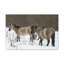 Wall Art on Canvas-450093785