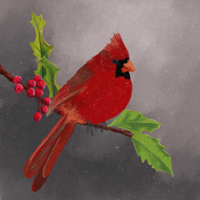 "Janessia Cardinal I" sur toile par Regina Moore, L 12 po x H 12 po