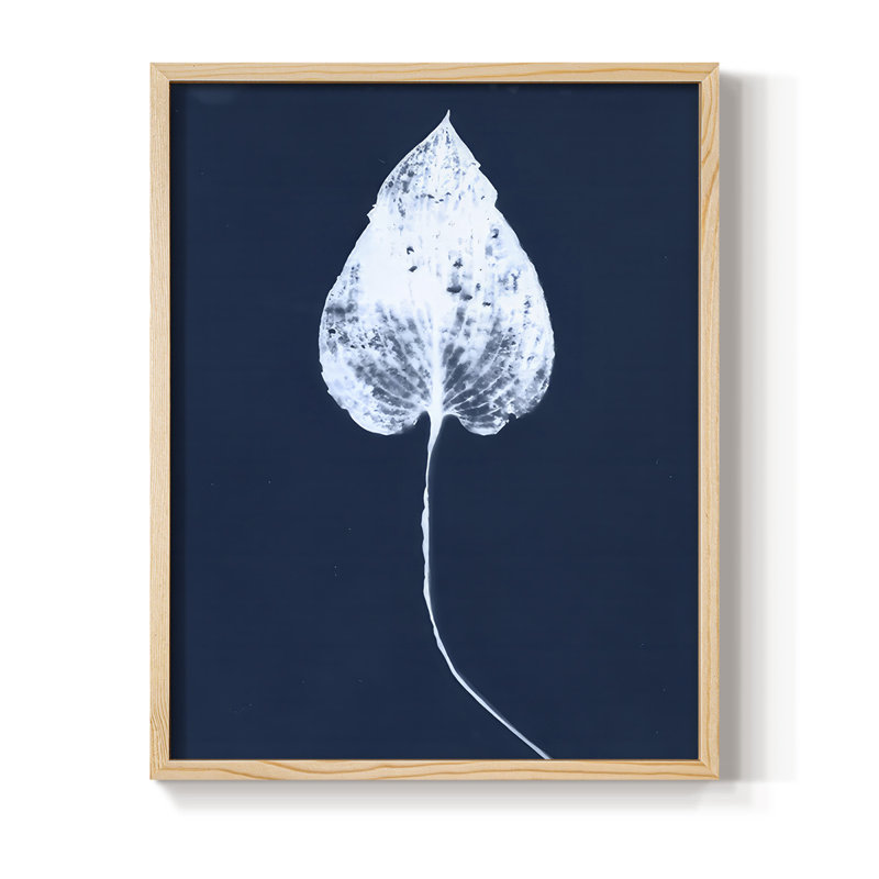 Reproduction encadrée de feuille de cyanorphe III - bois massif, H 15 po x l 12 po, Naturel