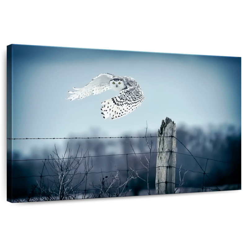Winter Snowy Owl IV, 30" H x 45" W