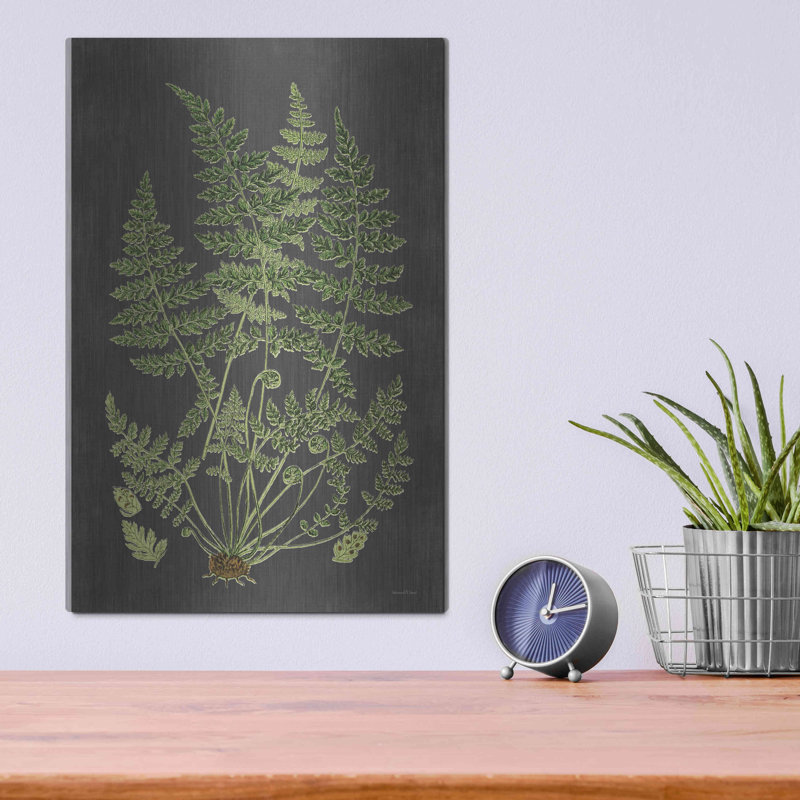 «Fern Study» par Lettered & Lined, H 16 po x l 12 po