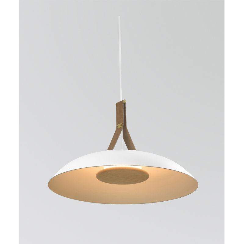 Volo 24" LED Pendant, Blanc, 3000K