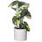 11.5'' Faux Plant in Pot-94734881