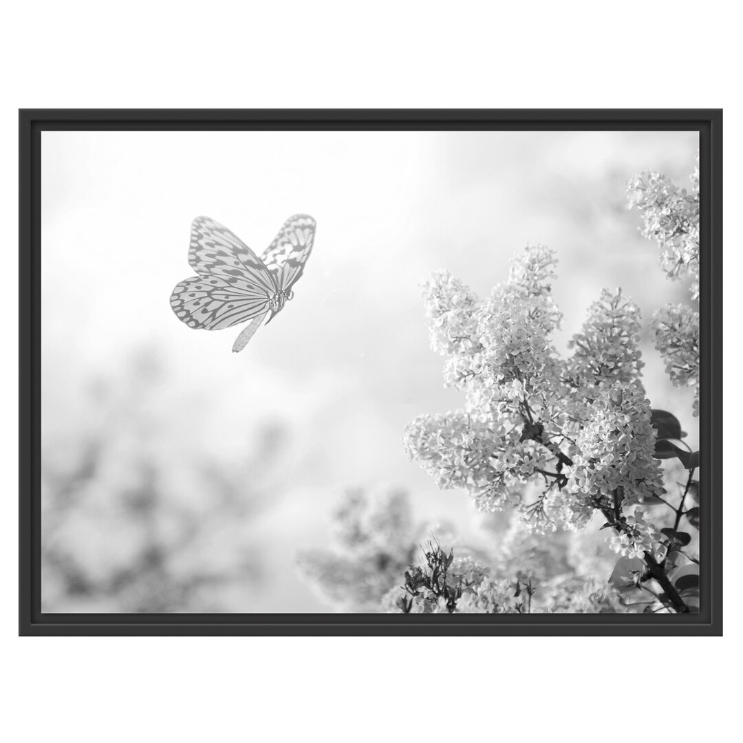 Gerahmtes Wandbild Schmetterling KirschblÃ¼ten