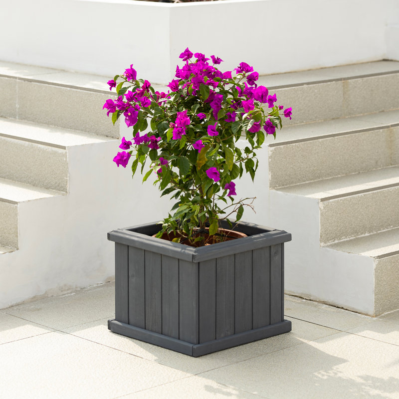 Barros Outdoor Wood Planter Box, Gray