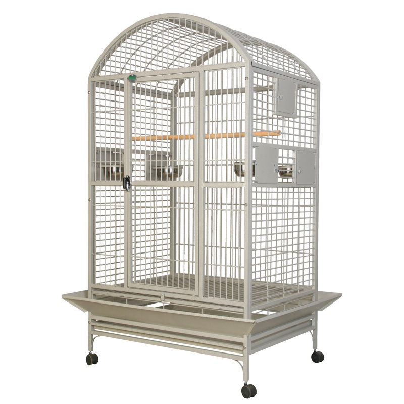 Cage XX XX, 77" H x 40" L x 30" W, Platine