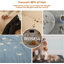 Aspirateur pour toilettage 7 en 1 2L