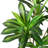 Adcock Artificial Dracaena Tree in Plastic Pot for Indoor/Outdoor Use-1187763798