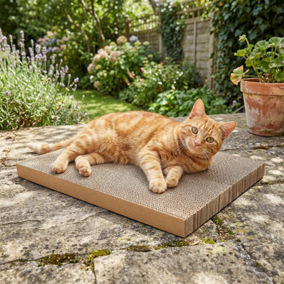 Recharge pour griffoir en carton, coussin de remplacement ondulé réversible pour lit pour chat