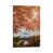 Wrapped Canvas is unavailable