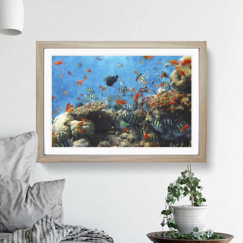 Coral Reef and Fish Vol.2 - Picture Frame Graphic Art, 36cm H x 48cm W x 2cm D, Oak Framed