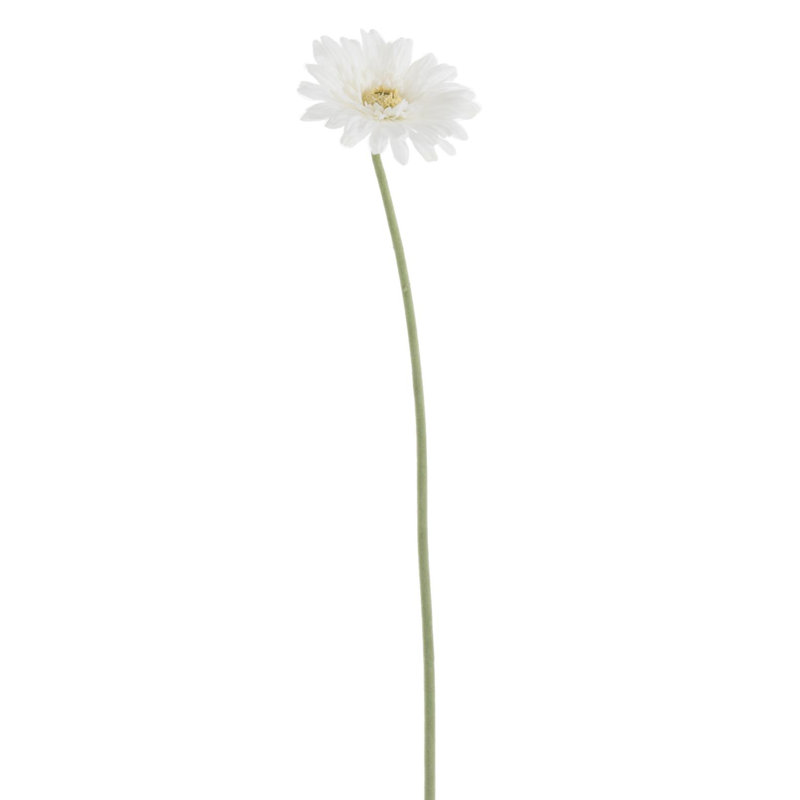 Daisy Arrangement