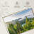 Alvord Mt. Rainier Pine Forest