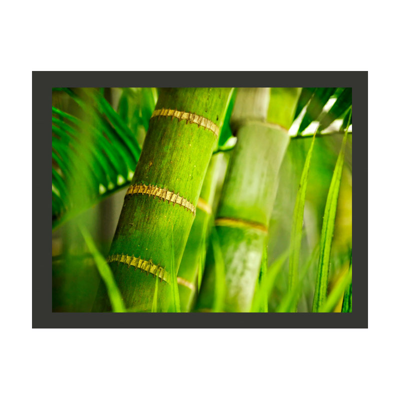 Bamboo Detail 2.31m x 300cm Wallpaper, 300 cm x 231 cm