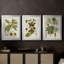 Antique Leaves I - Toile tendue avec châssis sur mesure - 3 pièces-1215669162-1215669163