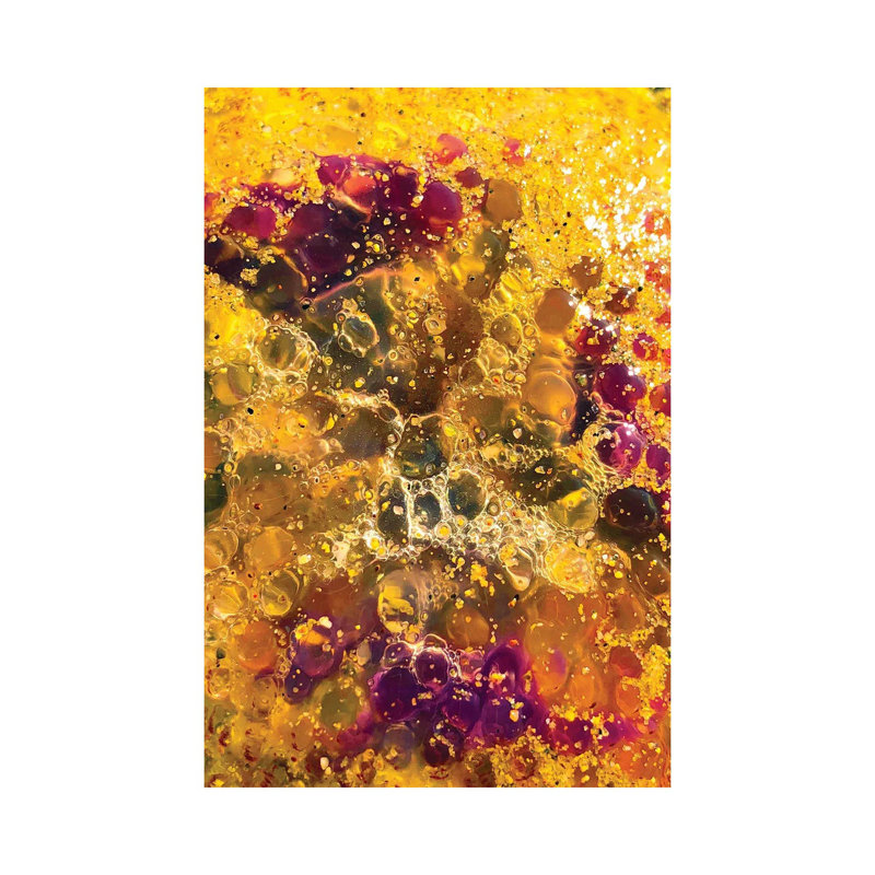 Jellyfish On The Beach Of Cannes by Emmanuel Signorino - Wrapped Canvas Print, 30.48cm H x 20.32cm W