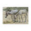 Wall Art on Canvas