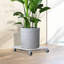Support pour plante Quintavia-456435579-456435578