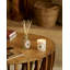 Fruits Reed Diffuser-1215989474