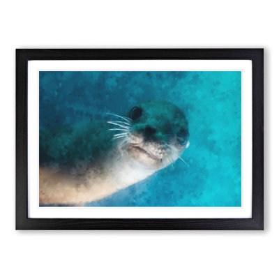 Face of a Seal - Framed Print