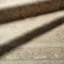 Tapis brun clair Jaipur Living Kaelen CSN07-74639894