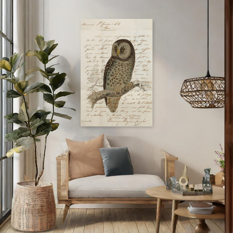 Hibou boréal, H 48 po x l 32 po