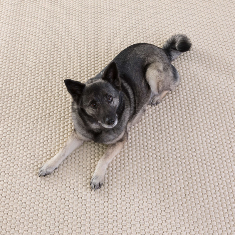 Rope Area Rug in Ivory, Rectangle 7'6" x 9'6"