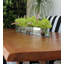 Driftwood Cymbidium Orchids Centerpiece in Glass Planter-1216674910-1216674911