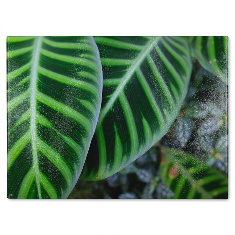 structure in exotic jungle ting Designer Glass Chopping Board