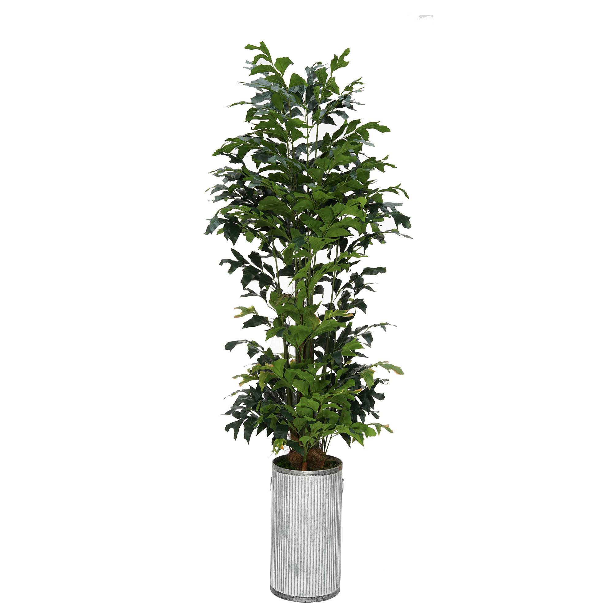 Primrue 72'' Artificial Palm Tree in Planter | Wayfair