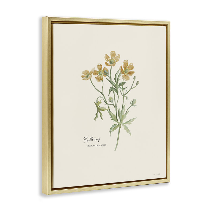 «Simple Buttercup Flowers» par Cindy Jacobs, Cadre flottant métallique doré, H 21 po x l 17 po