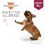 Cotton Pet Bed-72865551