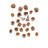 Nut Splitter Walnut Opener
