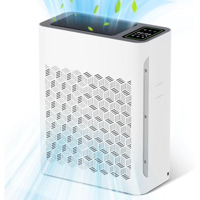 HEPA Air Purifier with PM 2.5 Display & Auto Mode, up to 2000 Sq. Ft.