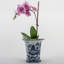 Handmade Planter