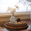 Ensemble de plateaux décoratifs en bois, plateaux rustiques Boho pour table basse, repose-pieds et décoration intérieure
