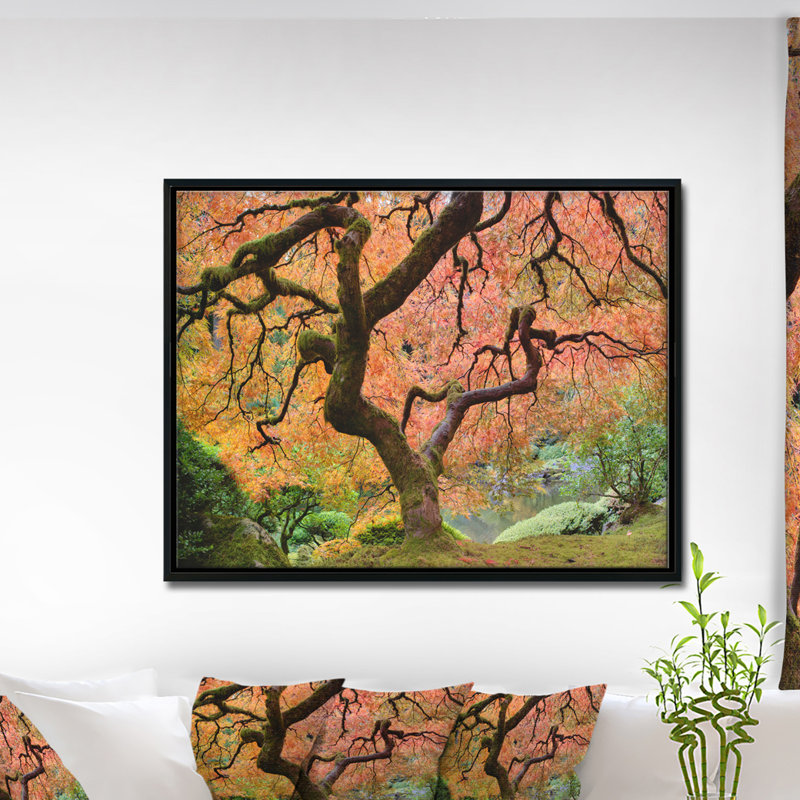 Érable d'automne - reproduction de photo, H 30 po x l 40 po x P 1,5 po, Toile avec cadre flottant