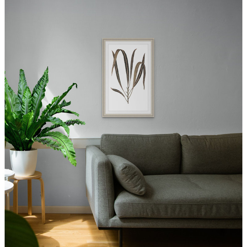 Daily Wish Brown 3 Print, 17" H x 12" W x 1" D