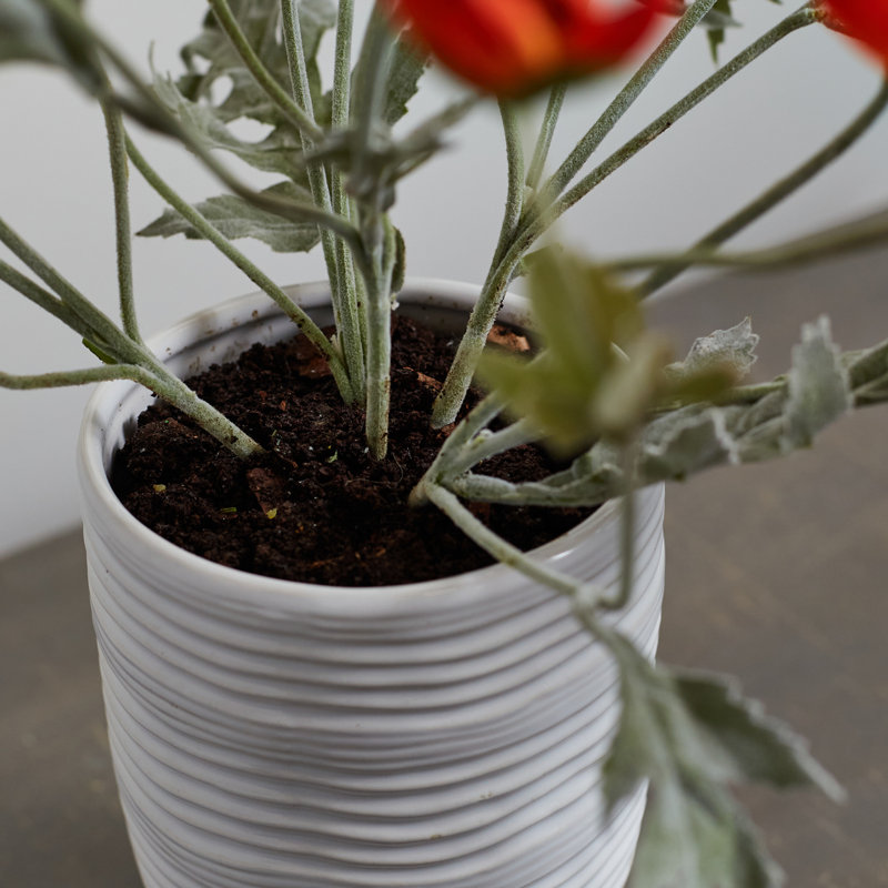 Arrangement floral coquelicot en pot