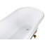 Holtzclaw x Freestanding Soaking Acrylic Bathtub-2009445986-2012709027