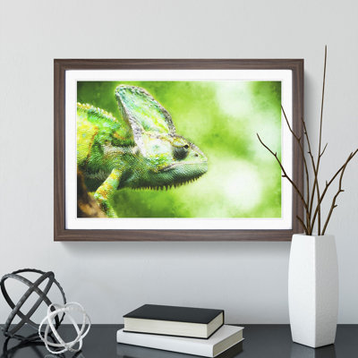 Chameleon Lizard Vol.1 - Framed Print