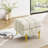 22 Inches Anti-Scratch Leather Storage Ottoman, Pet Friendly Entryway Bench Withen Stainless Steel Legs-1239190880