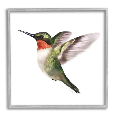 «Flying Hummingbird Wings Hovering Casual», estampe numérique, ensemble d'art texturé par Studio Q