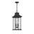 Horwitz 3-Light Outdoor Hanging Lantern