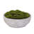 7'' Faux Succulent in Stone Pot