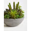 29cm Faux Succulent Plant in Stone Planter