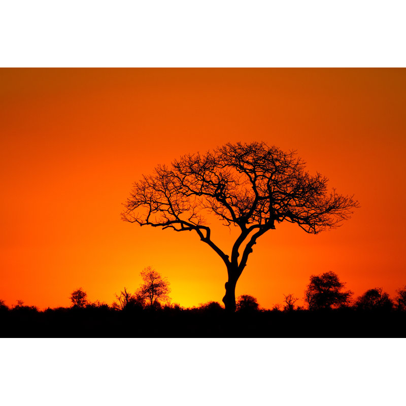 Laraye African Sunset by VilliersSteyn - Wrapped Canvas Print, 20cm H x 30cm W x 3.8cm D