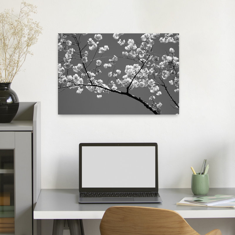 Fleurs de cerisier, Washington, DC, États-Unis, abstrait, cerisier contemporain, fleur, art naturel, H 16 po x l 24 po